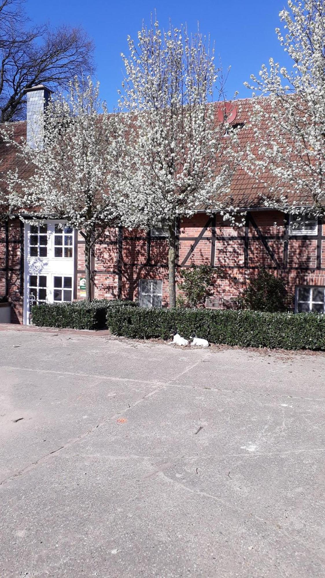 Landhaus Am Esch Warendorf Esterno foto