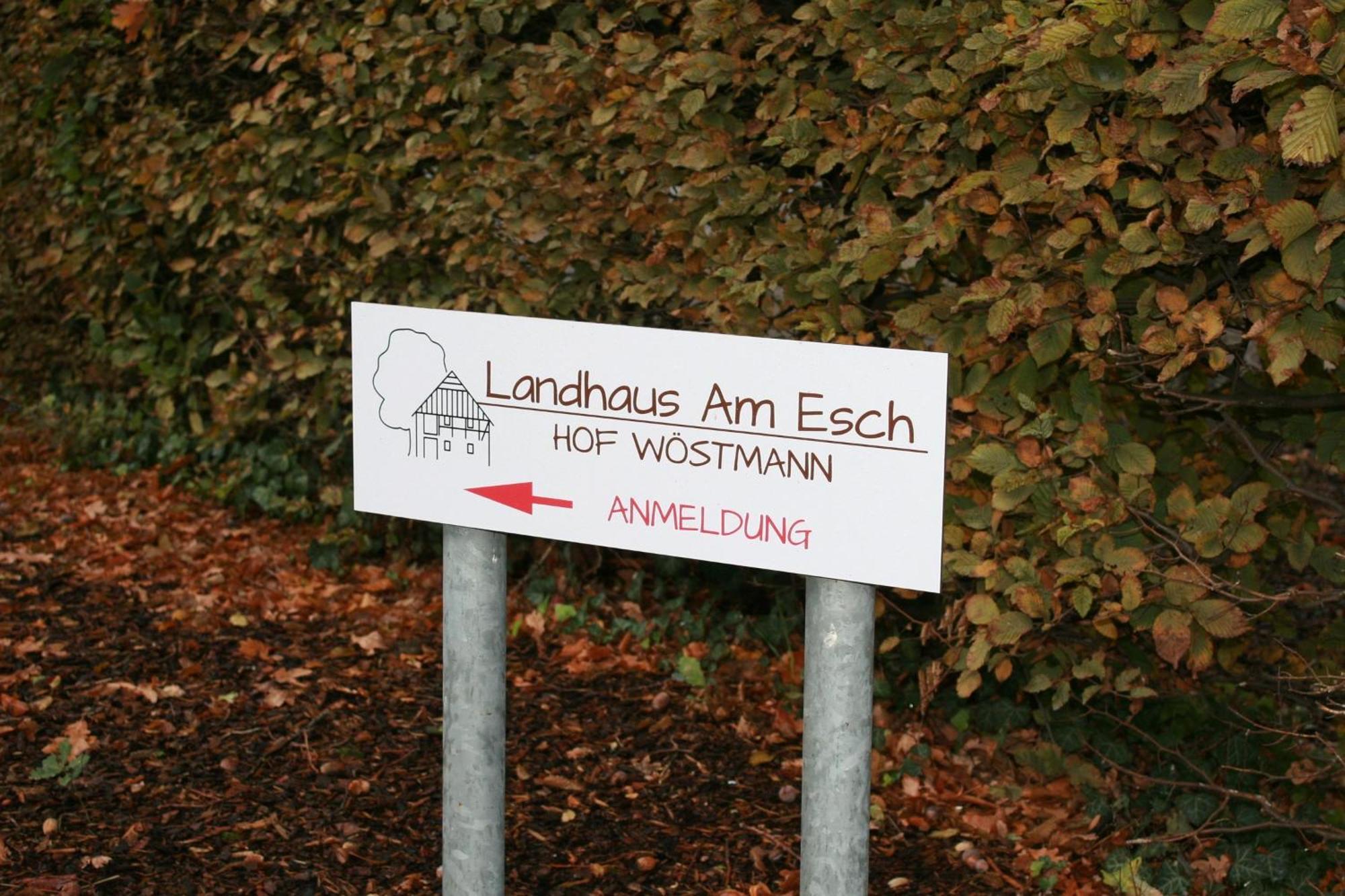 Landhaus Am Esch Warendorf Esterno foto