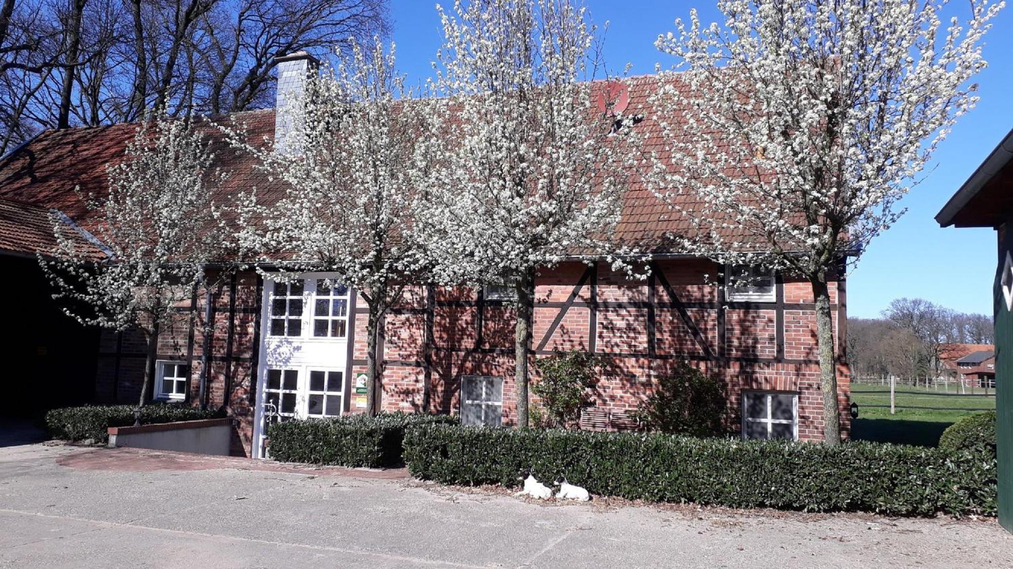 Landhaus Am Esch Warendorf Esterno foto