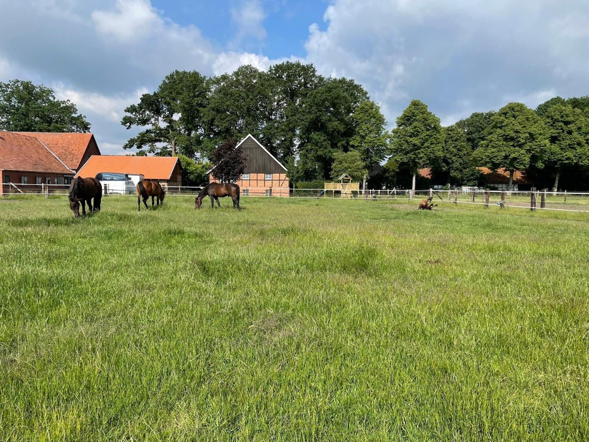 Landhaus Am Esch Warendorf Esterno foto